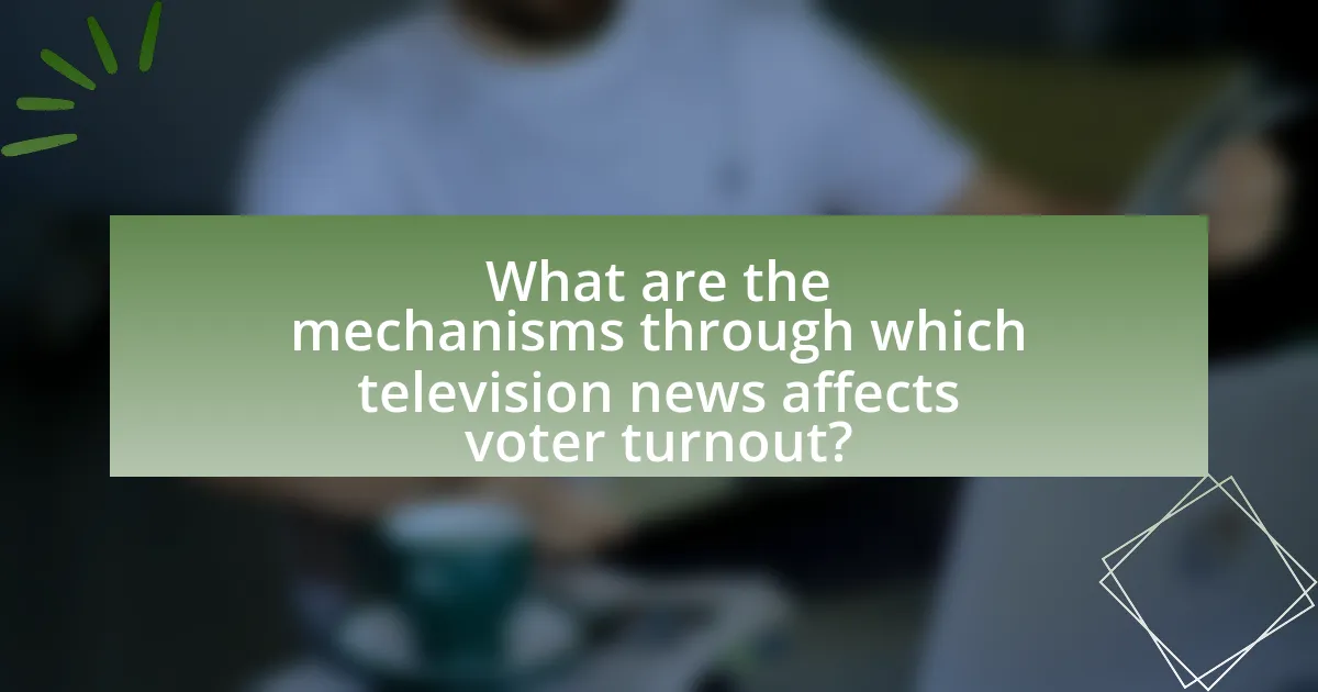 What are the mechanisms through which television news affects voter turnout?